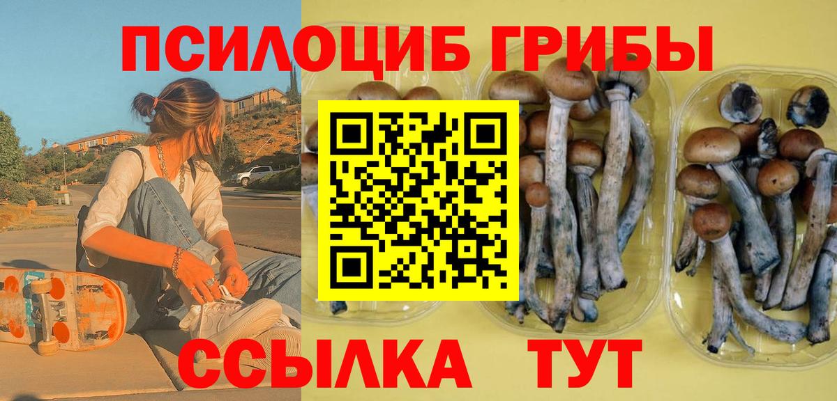 Псилоцибиновые грибы ЛСД Владивосток