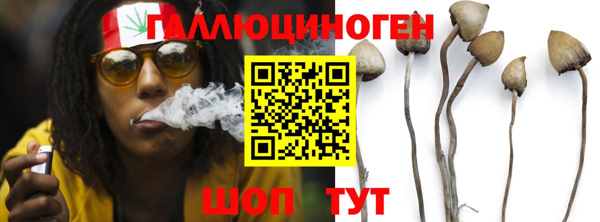Псилоцибиновые грибы Psilocybine cubensis  магазин продажи   Владивосток  Вход с VPN 